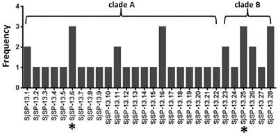 Effects of Polymorphisms in the SjSP-13 Gene of Schistosoma japonicum on Its Diagnostic Efficacy and Immunogenicity